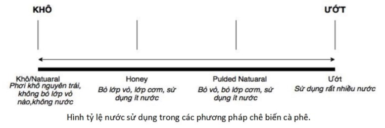 purio-tilenuoc