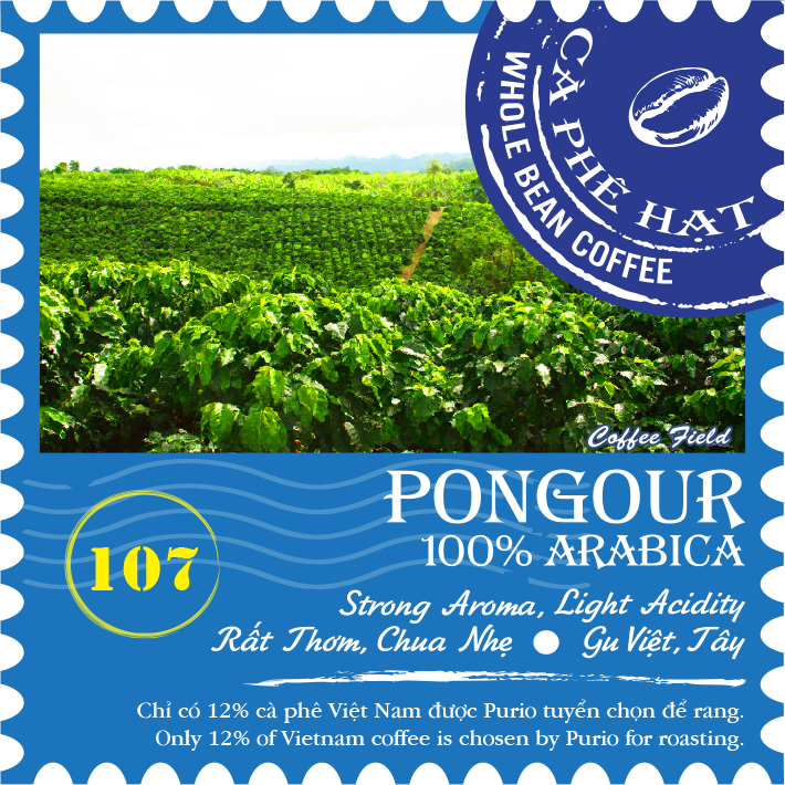 Pongour Medium