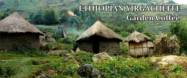 YirgaCheffe