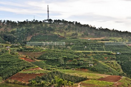 dsc_1191_400px